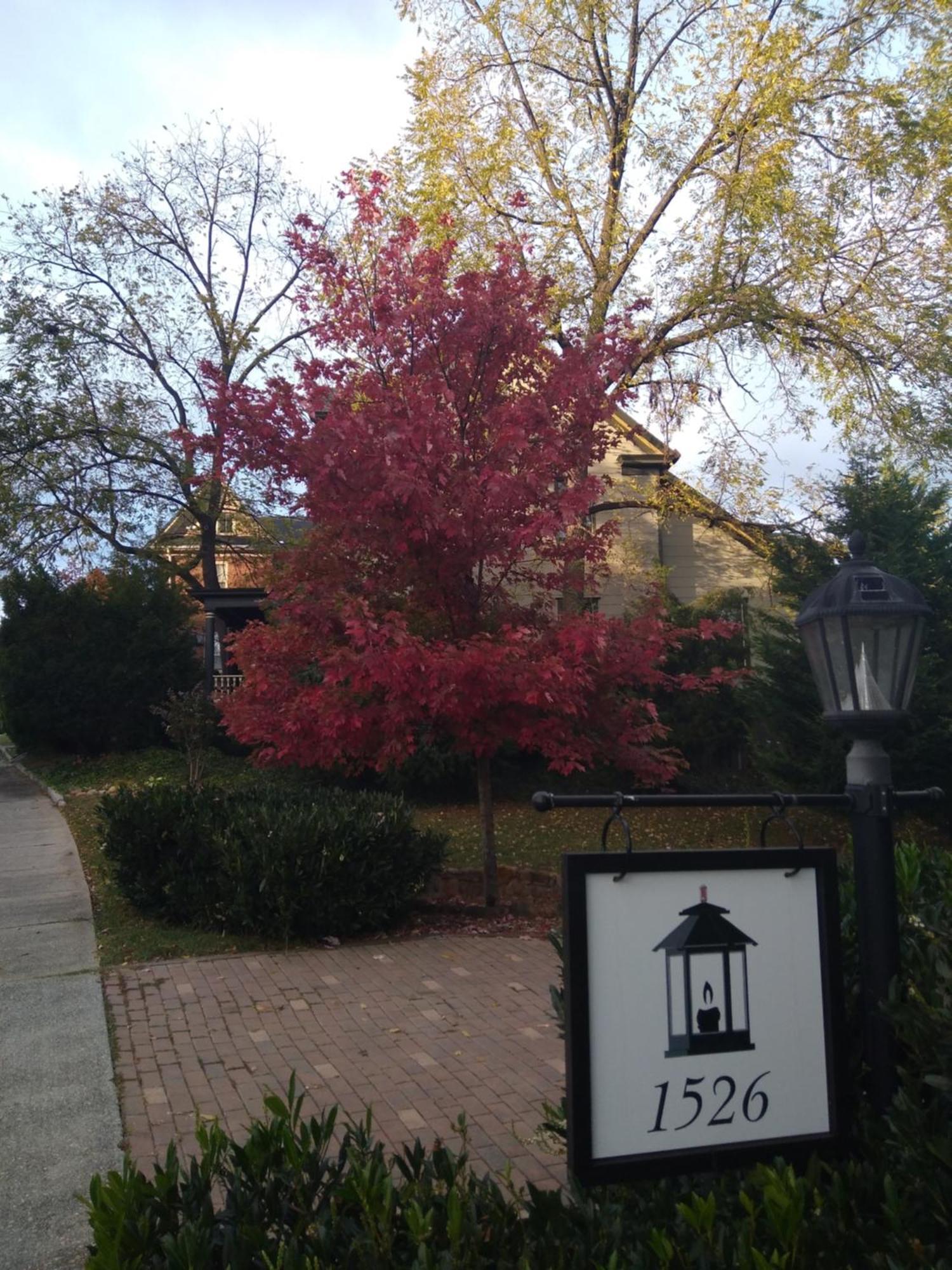 Black Lantern Inn Roanoke Bagian luar foto